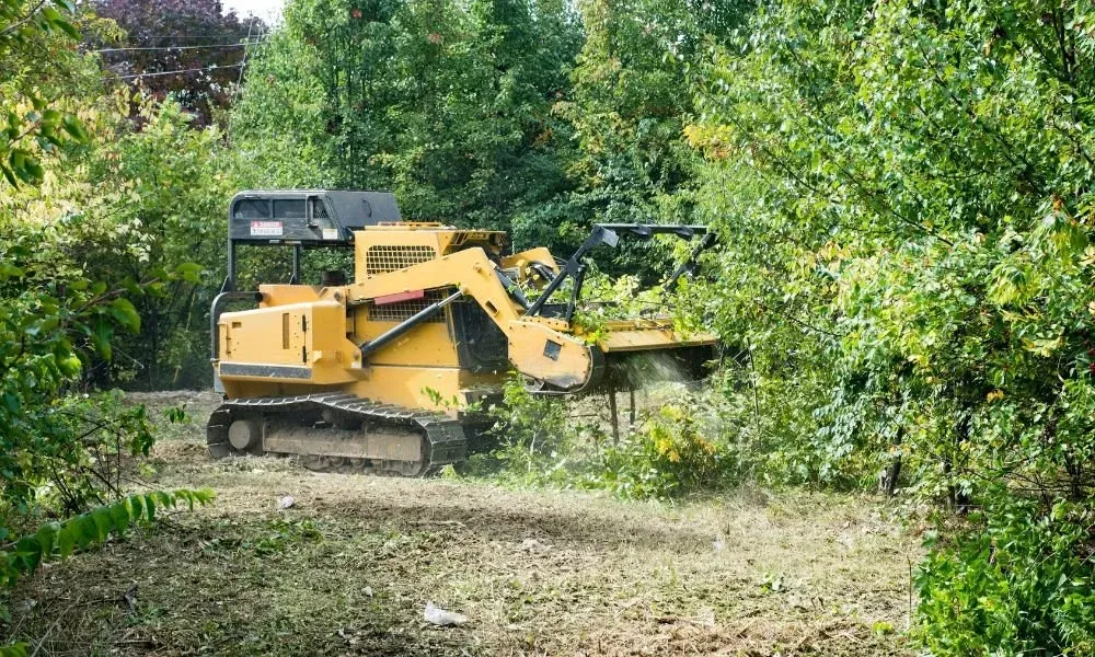 Tracked mulcher clearing overgrown land
