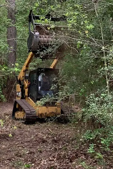 Mulcher clearing a wooded lot