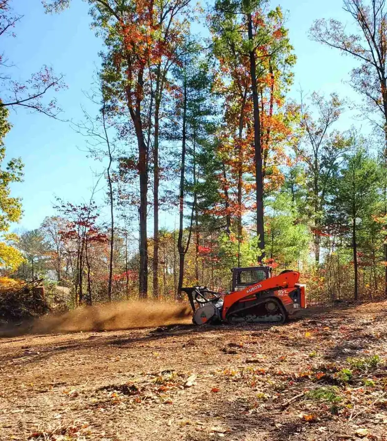 Mulcher clearing a wooded property