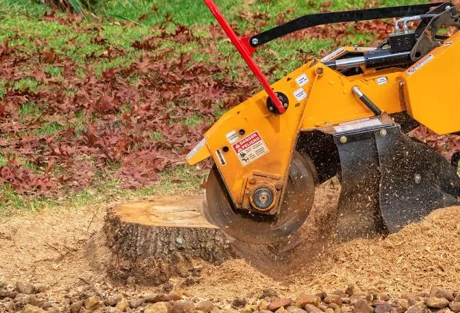 Stump grinder cutting down a tree stump