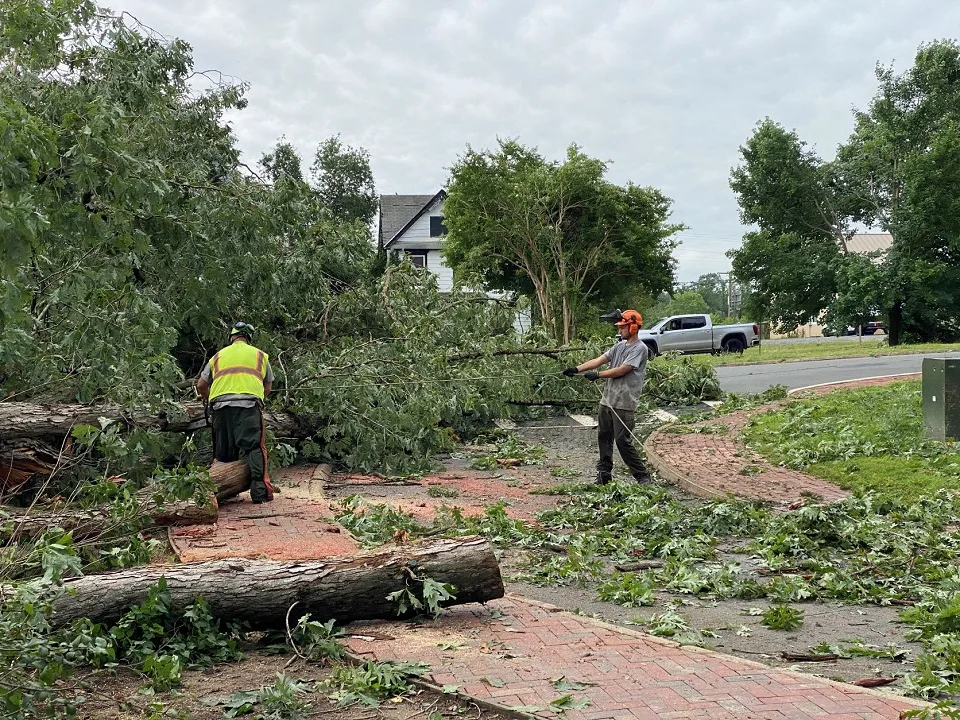 Crew cutting up a fallen tree after a storm